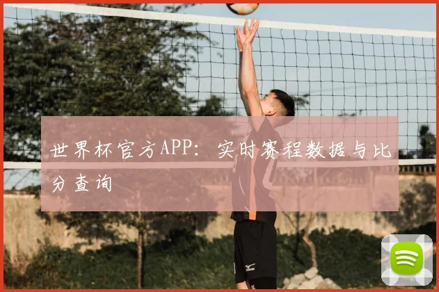 世界杯官方APP：实时赛程数据与比分查询