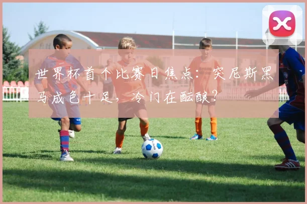 世界杯首个比赛日焦点：突尼斯黑马成色十足，冷门在酝酿？