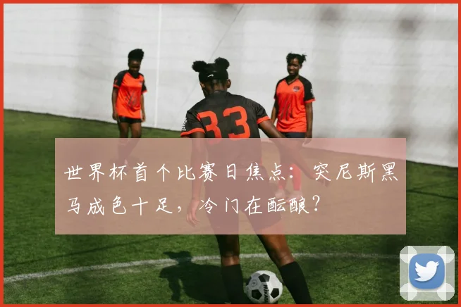 世界杯首个比赛日焦点:突尼斯黑马成色十足,冷门在酝酿?